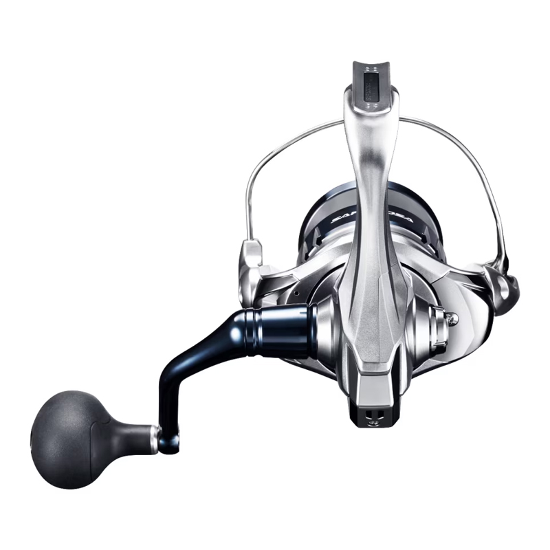 20 mulinello da pesca alla tra - Daiwa Reel Bg recensione e prezzo